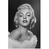 Marilyn Monroe II Wall Art in Black & White